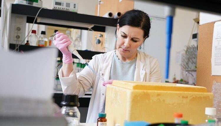 Андрей Воробьев - Анализы 83 жителей Подмосковья направлены на подтверждение коронавируса - newtvnews.ru - Московская обл.