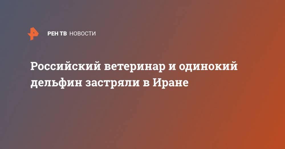 Российский ветеринар и одинокий дельфин застряли в Иране - ren.tv - Иран - Тегеран