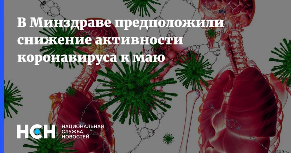 Николай Брико - В Минздраве предположили снижение активности коронавируса к маю - nsn.fm - Россия