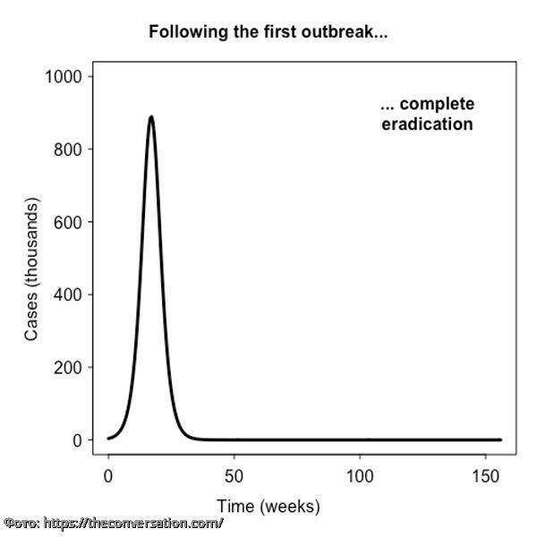Британские ученые составили четыре графика вероятного развития пандемии коронавируса в мире - pravda-tv.ru