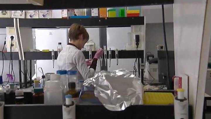 Скрыть коронавирус не удастся: частные лаборатории курирует Роспотребнадзор - vesti.ru - Санкт-Петербург