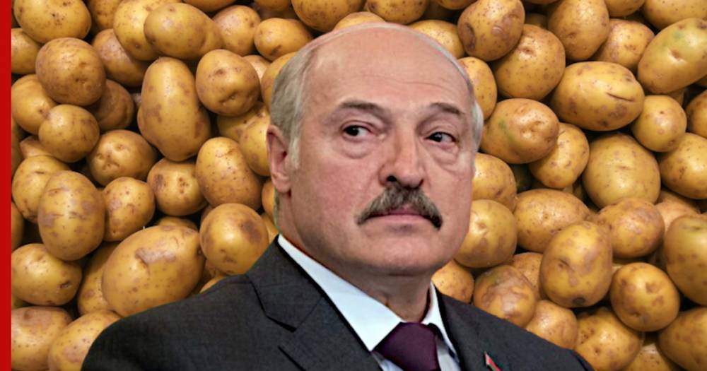 Александр Лукашенко - Николай Лукашенко - Лукашенко назвал средство спасения Белоруссии от голода во время пандемии - profile.ru - Белоруссия