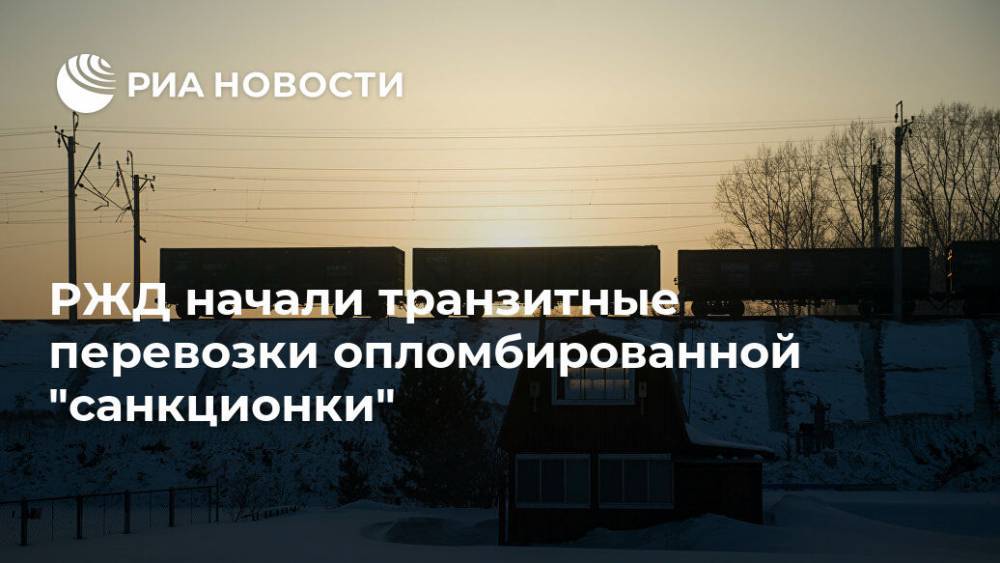 РЖД начали транзитные перевозки опломбированной "санкционки" - ria.ru - Россия - Москва - Китай - Голландия