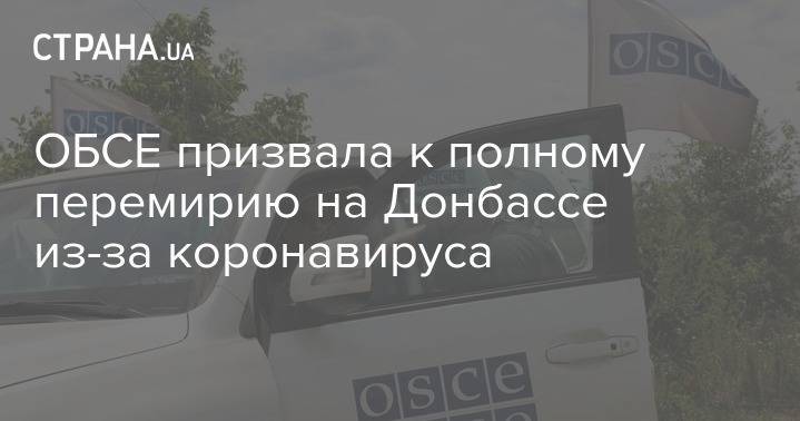 ОБСЕ призвала к полному перемирию на Донбассе из-за коронавируса - strana.ua