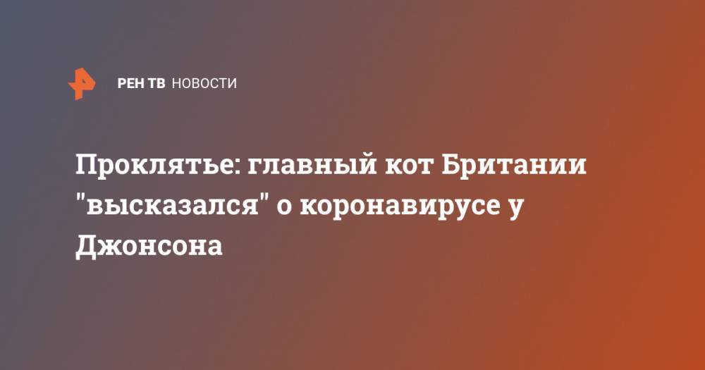 Борис Джонсон - Проклятье: главный кот Британии "высказался" о коронавирусе у Джонсона - ren.tv - Англия - Минздрав