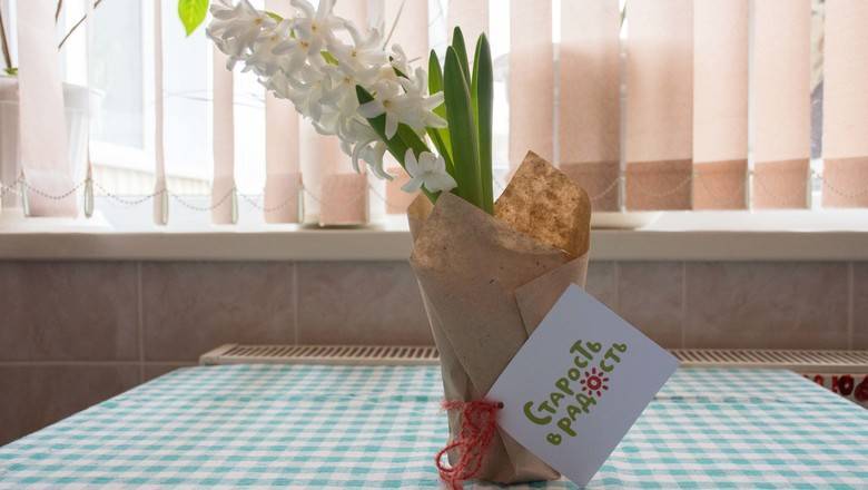 Пожилым тюменцам помогут с доставкой продуктов и лекарств - nashgorod.ru - Тюмень