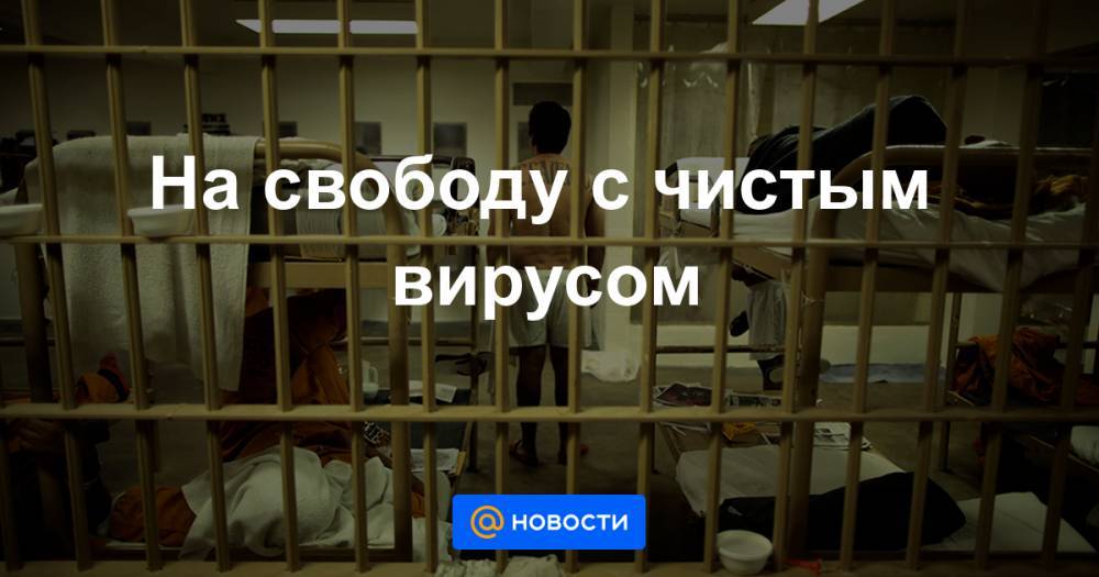 Мишель Бачелет - На свободу с чистым вирусом - news.mail.ru