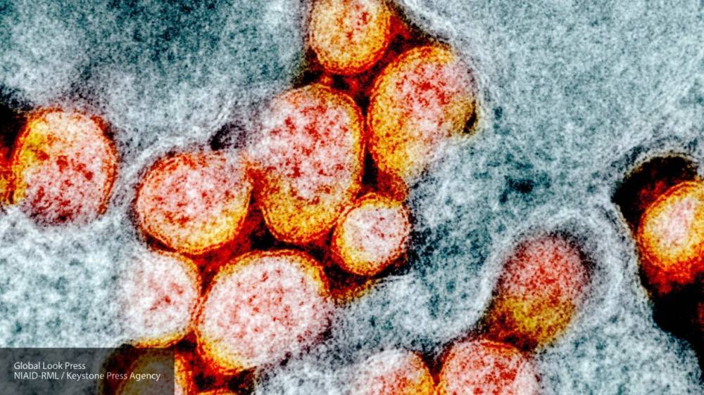 Новую тест-систему для диагностики коронавируса зарегистрировали в Новосибирске - politexpert.net - Россия - Новосибирск