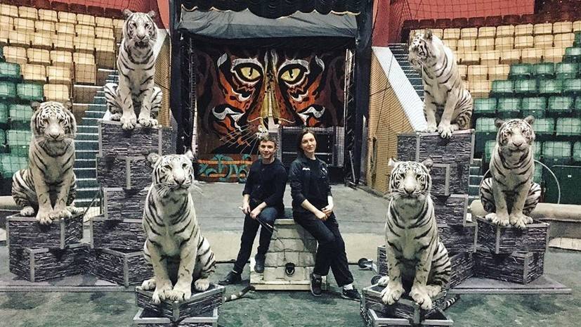 Белого носорога и бенгальских тигров доставят в цирк Екатеринбурга - russian.rt.com - Екатеринбург