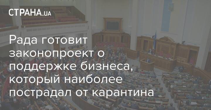 Евгения Кравчук - Рада готовит законопроект о поддержке бизнеса, который наиболее пострадал от карантина - strana.ua - Украина