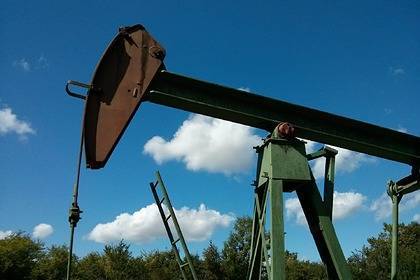 В США попросили сократить добычу нефти - lenta.ru - Сша