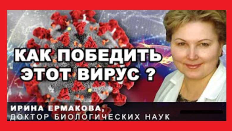 Ирина Ермакова: «Коронавирусу скорее всего помогает бактерия-убийца “Синтия”» - newizv.ru