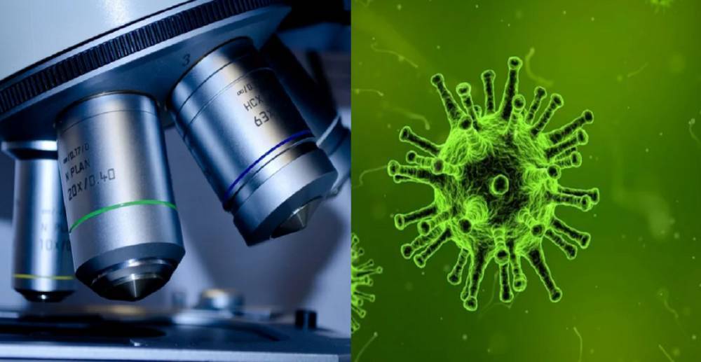 Врач опроверг пользу повышенных температур при коронавирусе у человека - inforeactor.ru - Гонконг
