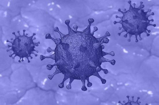 Учёные определили температуру активизации коронавирусной инфекции - pnp.ru - Гонконг