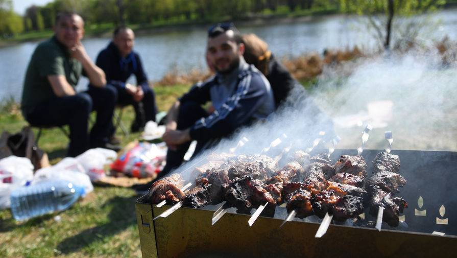 Власти Уфы разогнали жаривших в парке шашлык жителей - gazeta.ru - Уфа - республика Башкирия