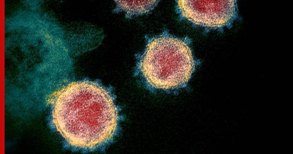 Ученые опредилили самую опасную стадию коронавируса - profile.ru - Китай - Гонконг
