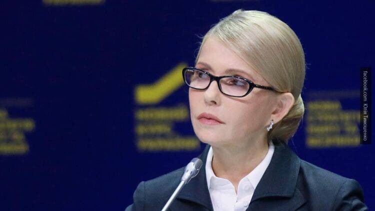 Тимошенко раскритиковала закон о продаже земли иностранцам - inforeactor.ru - Украина