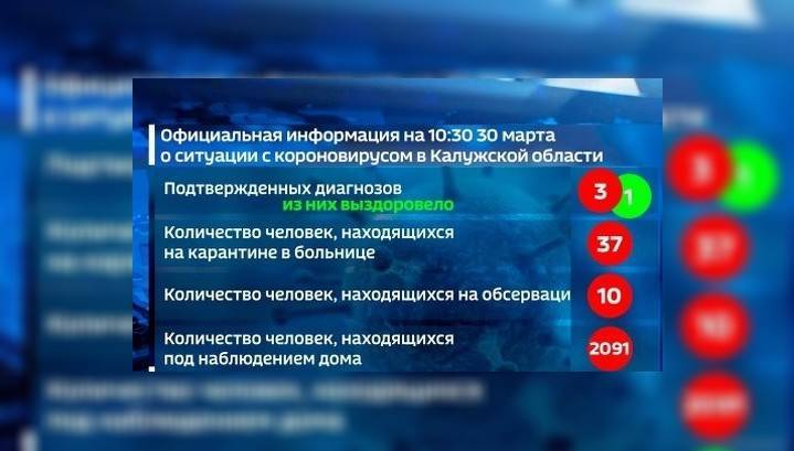 Калужские школы возобновили работу в дистанционном режиме - vesti.ru