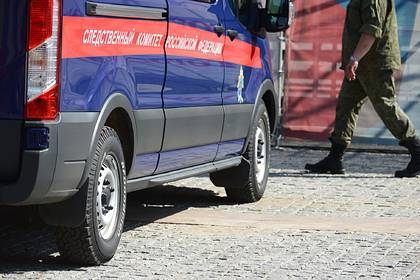 Распространившего фейк о коронавирусе россиянина вычислили - lenta.ru - Пенза - Пензенская обл.