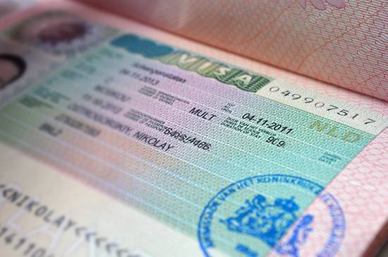 Срок действия многократной визы в Россию для иностранных инвесторов могут увеличить - pnp.ru - Россия - Владивосток