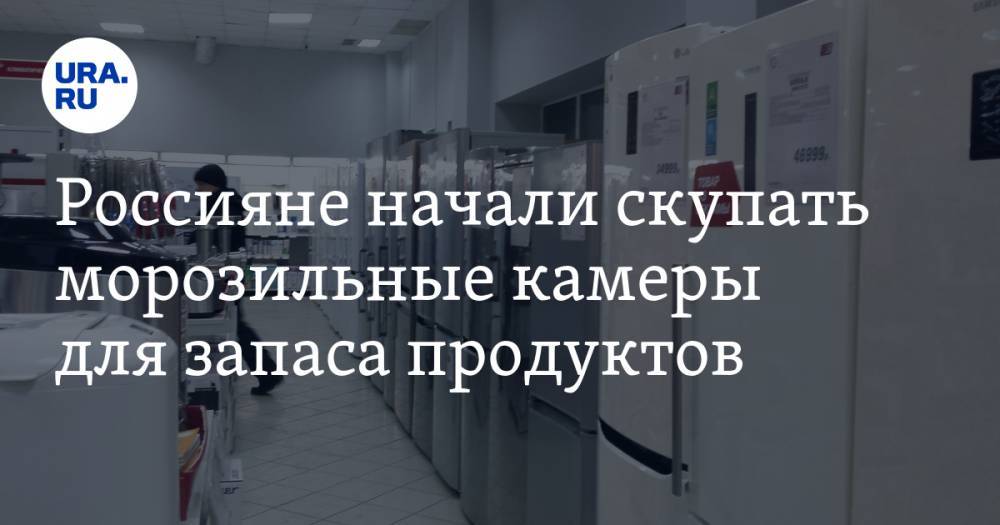 Россияне начали скупать морозильные камеры для запаса продуктов. Спрос вырос на 1700% - ura.news