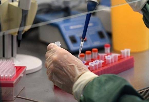 Ученые Роспотребнадзора создали высокоточный тест для диагноза коронавируса - znak.com - Россия