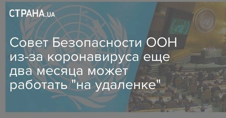 Совет Безопасности ООН из-за коронавируса еще два месяца может работать "на удаленке" - strana.ua