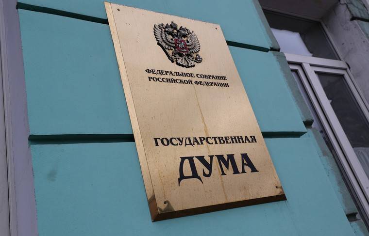 Госдума: голосование на выборах в условиях ЧС может быть отложено - news.ru - Россия