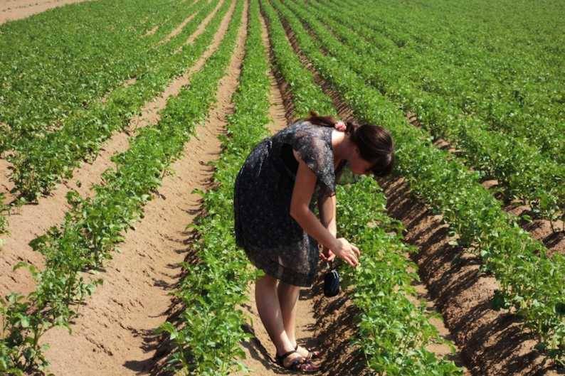 ООН: миру грозит голод из-за коронавируса - bloknot.ru