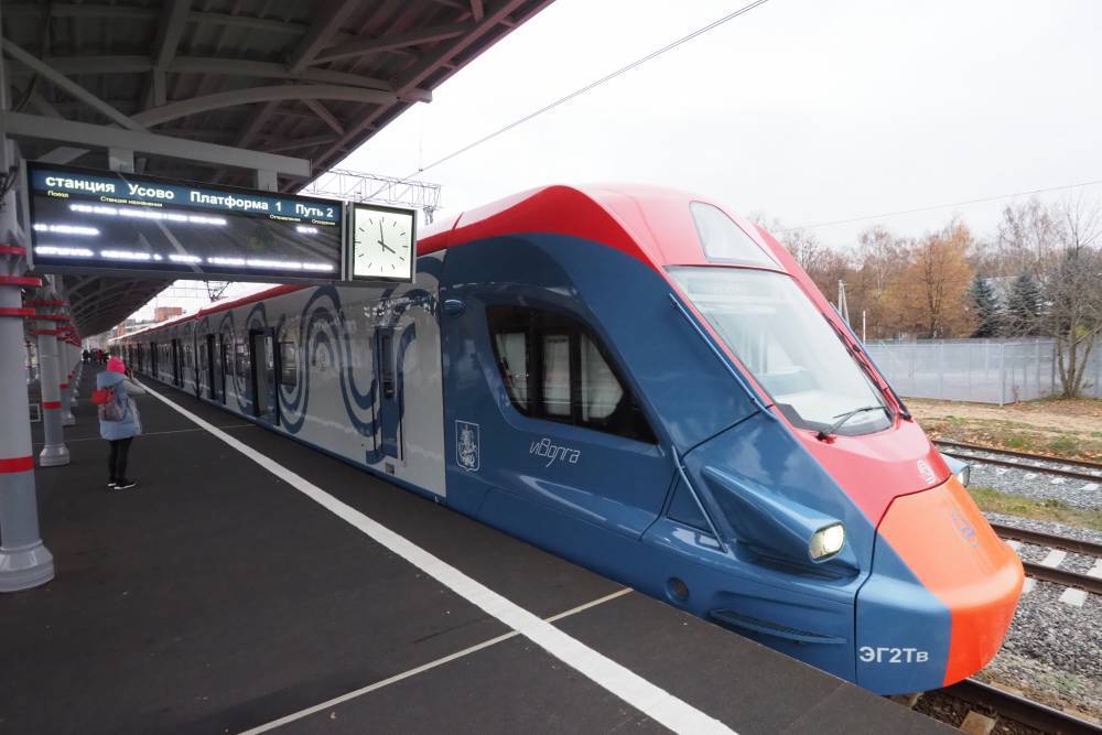Более 160 вагонов поездов «Иволга» на МЦД прошли дезинфекцию - vm.ru - Москва