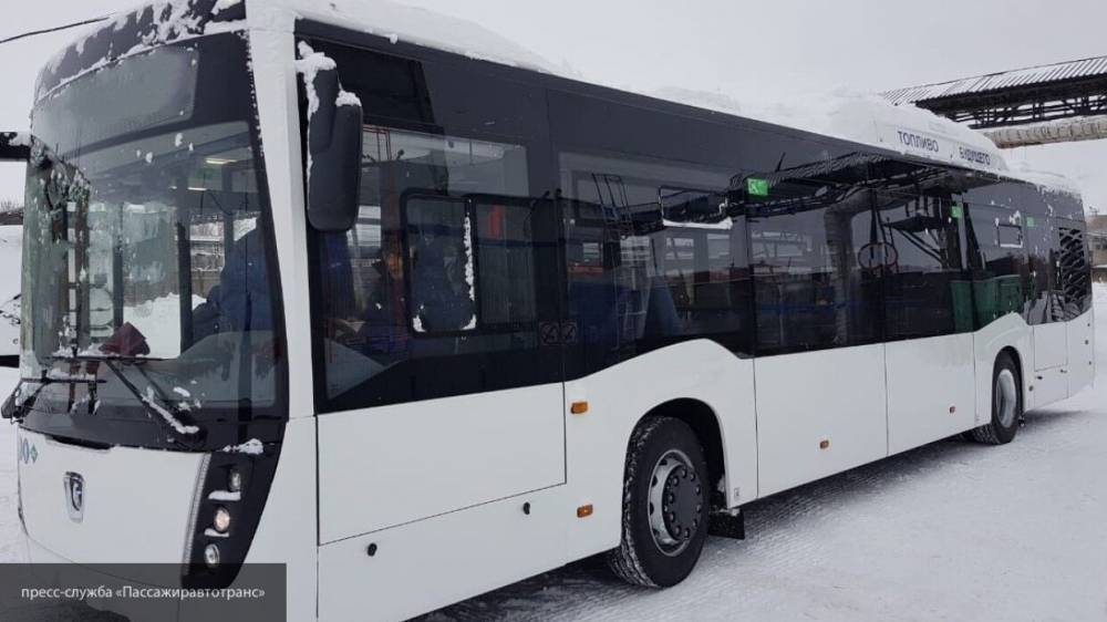 Кузбасс приостановил автобусное сообщение с "коронавирусными" регионами - nation-news.ru - Кемеровская обл.