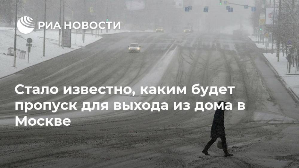 Стало известно, каким будет пропуск для выхода из дома в Москве - ria.ru - Москва