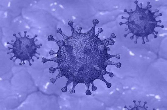 Вирусолог опровергла миф об отсутствии иммунитета к коронавирусу - pnp.ru - Москва