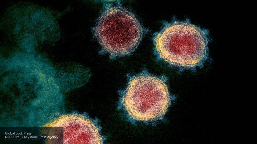 Ученые назвали уязвимое место нового коронавируса - inforeactor.ru