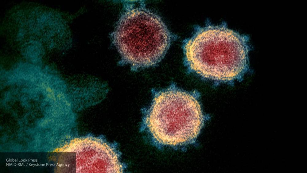 3D-модель коронавируса помогла ученым понять механизм проникновения инфекции в организм - nation-news.ru - штат Миннесота