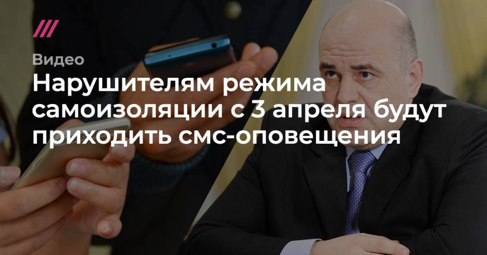 Нарушителям режима самоизоляции с 3 апреля будут приходить смс-оповещения - tvrain.ru - Россия