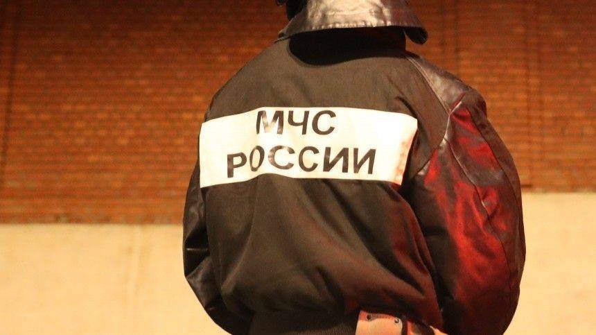 Главы двух департаментов МЧС попали в больницу с подозрением на коронавирус - 5-tv.ru