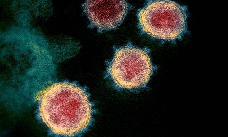 Ученые нашли новый способ лечения коронавируса - bloknot.ru - Гонконг