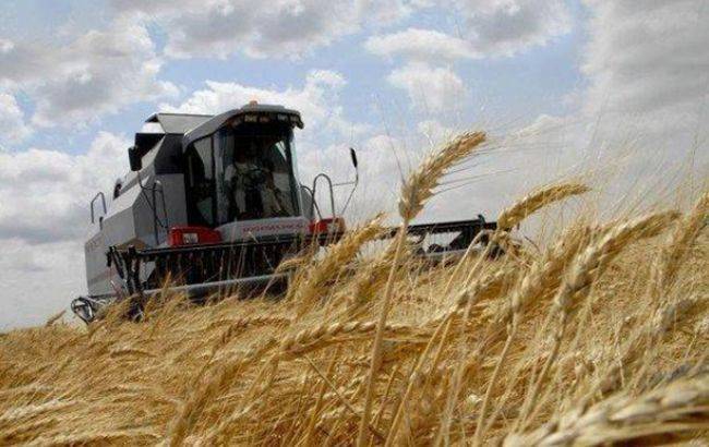 Аграрии поддерживают снижение портовых сборов на 20%, - УЗА - rbc.ua - Украина