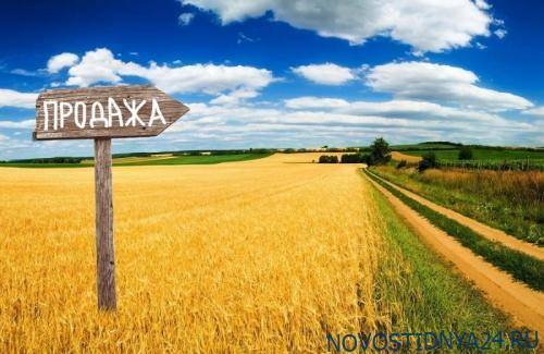 Открытый рынок земли и последствия для Украины - novostidnya24.ru - Украина