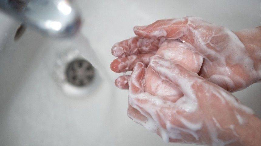 Мыть или не мыть? Как обезопасить себя и близких в условиях пандемии - 5-tv.ru