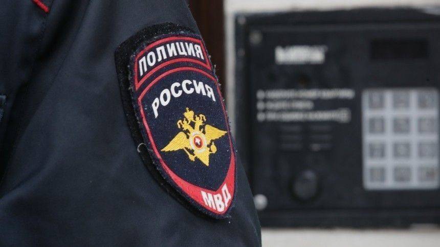 МВД озвучило число протоколов в отношении нарушителей режима самоизоляции - 5-tv.ru - Россия