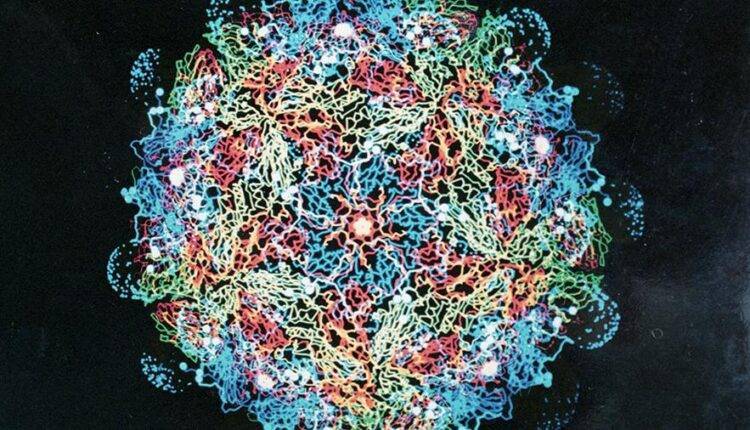 У гигантских вирусов обнаружили свойства клеточной жизни - newtvnews.ru