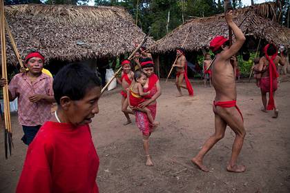 Индейцам Амазонии предрекли вымирание из-за заражения коронавирусом - lenta.ru - Бразилия