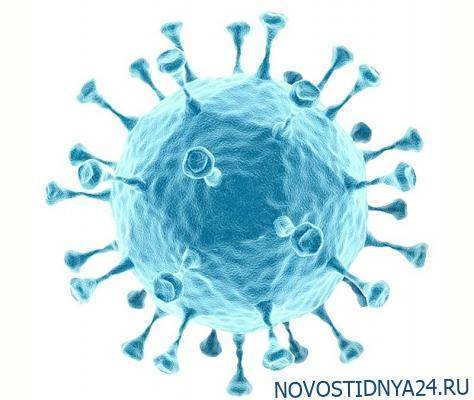 В Южной Корее зафиксировали около сотни повторных заражений коронавирусом - novostidnya24.ru - Южная Корея