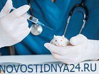 Новый универсальный противовирусный препарат доказал свою эффективность - novostidnya24.ru