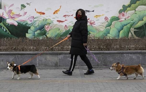 Китай причислил собак к домашним животным - korrespondent.net - Китай