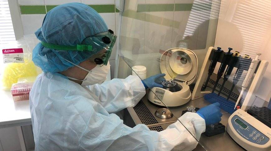 В России представили тест-системы для выявления коронавируса за 15-20 минут - belta.by - Россия - Минск