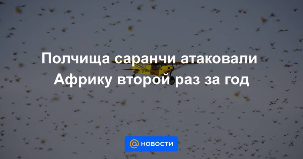 Полчища саранчи атаковали Африку второй раз за год - news.mail.ru