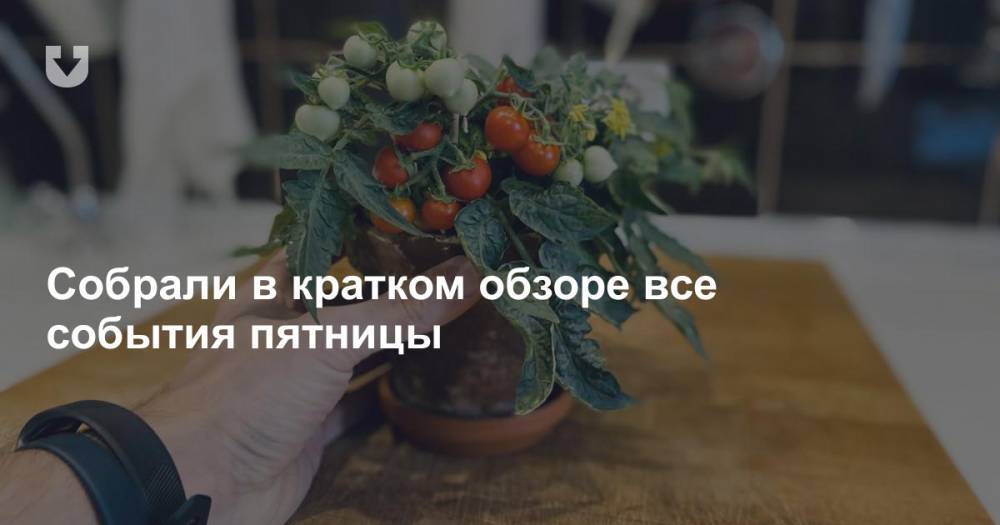 Макей и маски, контакты и больничный, каникулы, «Красава» и помидоры на окне — все за вчера - news.tut.by - Россия